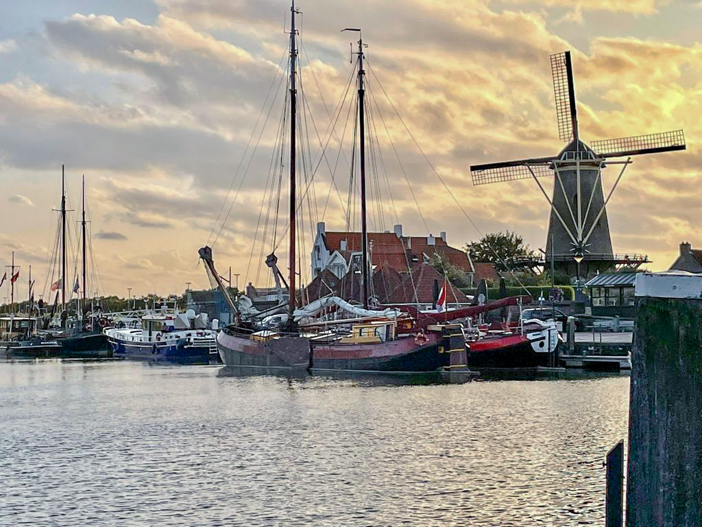 sortie Dauphins en Zélande