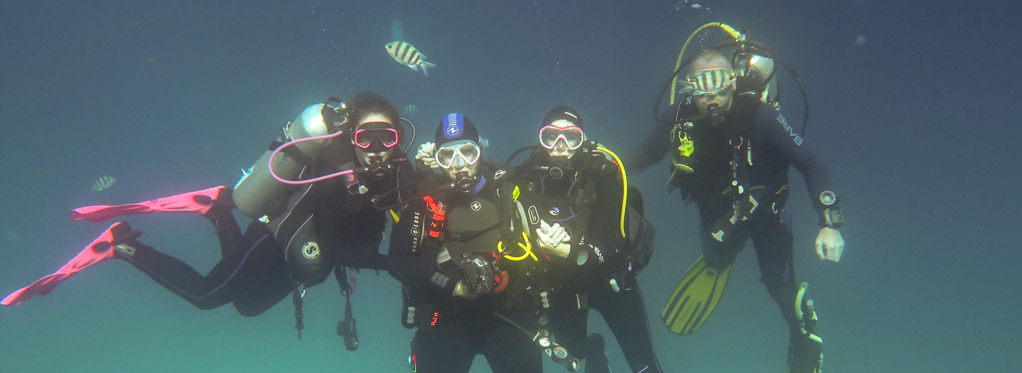 Plongée à El Gouna nos plongeurs à el Gouna
